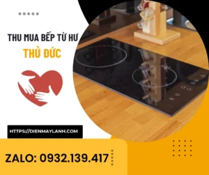 Thu Mua Bếp Từ Hư Thủ Đức – Giá Cao, Tận Nơi, Uy Tín Số 1