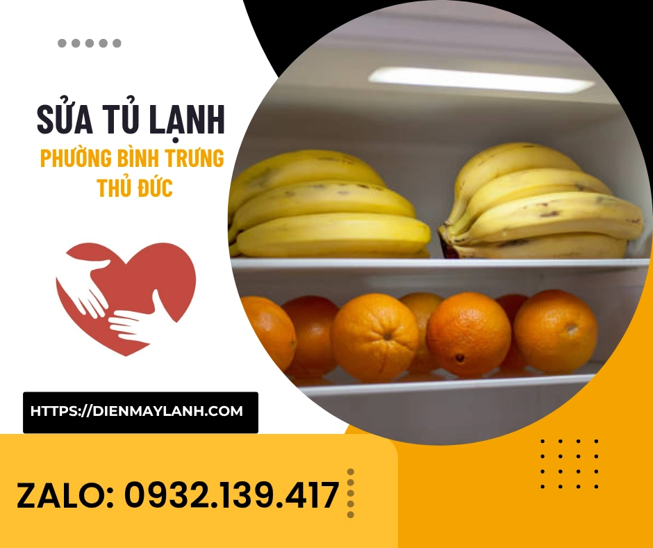 Sửa Tủ Lạnh Phường Bình Trưng Thủ Đức