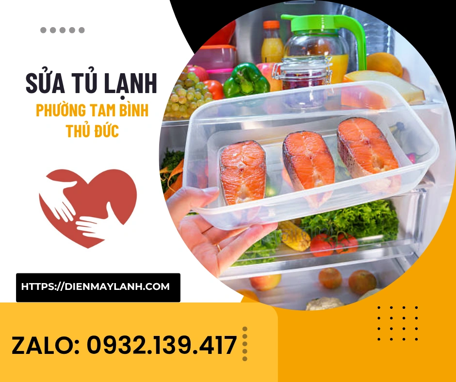 Sửa Tủ Lạnh Phường Tam Bình Thủ Đức