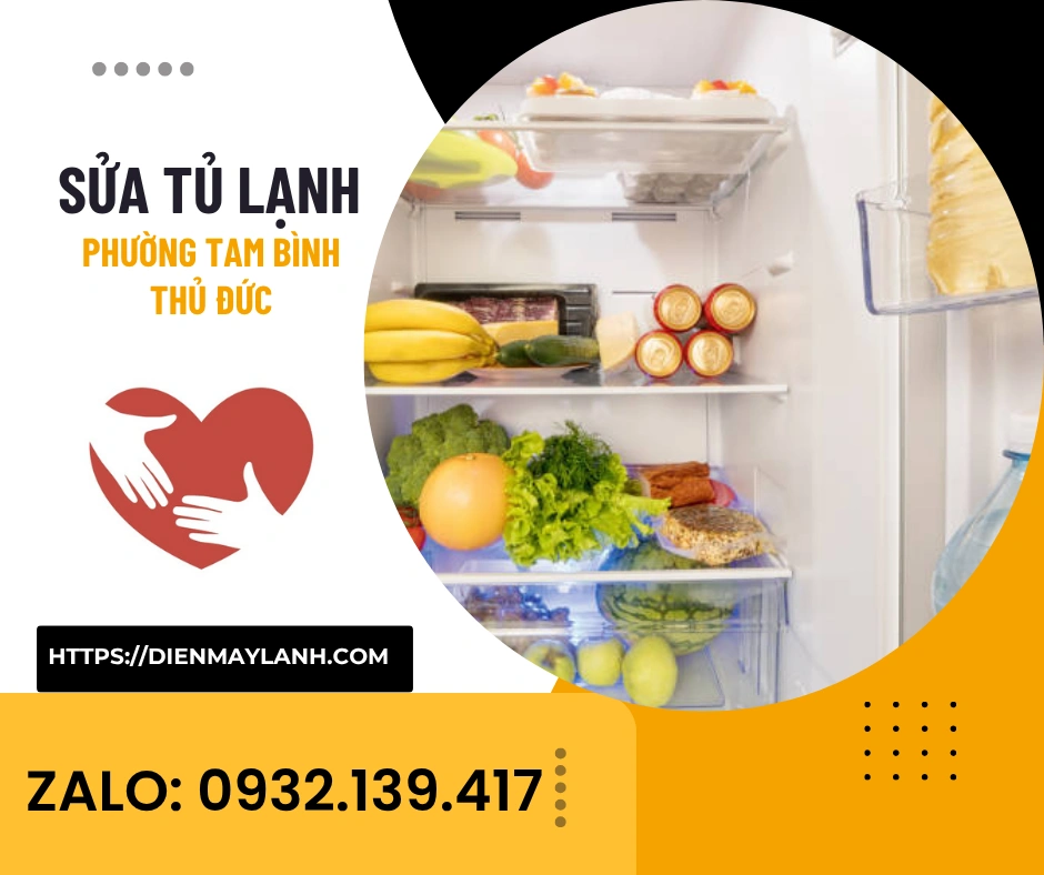 Sửa Tủ Lạnh Phường Tam Bình Thủ Đức
