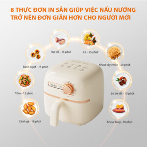 Review Nồi Chiên Không Dầu Gaabor AF20M-YE01S 2L Có Tốt Không?