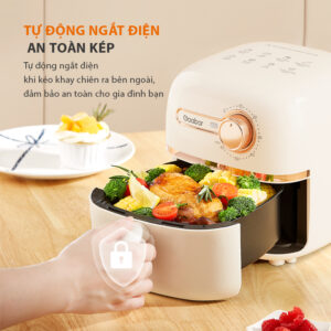 Review Nồi Chiên Không Dầu Gaabor AF20M-YE01S 2L Có Tốt Không?