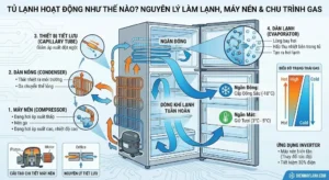 Tủ Lạnh Hoạt Động Như Thế Nào? Nguyên Lý Làm Lạnh, Máy Nén & Chu Trình Gas