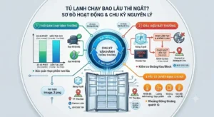 Tủ Lạnh Chạy Bao Lâu Thì Ngắt? Thời Gian Chạy Bình Thường & Dấu Hiệu Bất Thường
